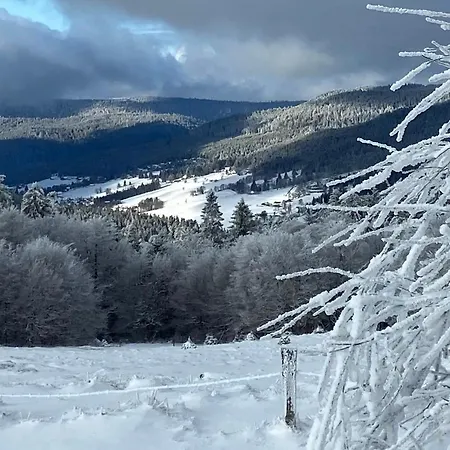 شقة Duplex Telemark لابْريسْ