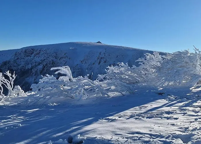 Duplex Telemark شقة لابْريسْ